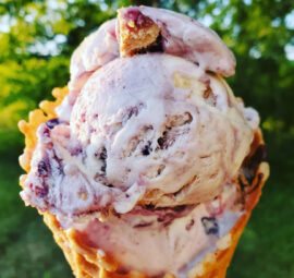 Blueberry Cheesecake Ice Cream Vanilla Homemade Flavors Cayuga Lake Creamery