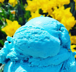 Cotton Candy Blue Vanilla Ice Cream Cayuga Lake Creamery