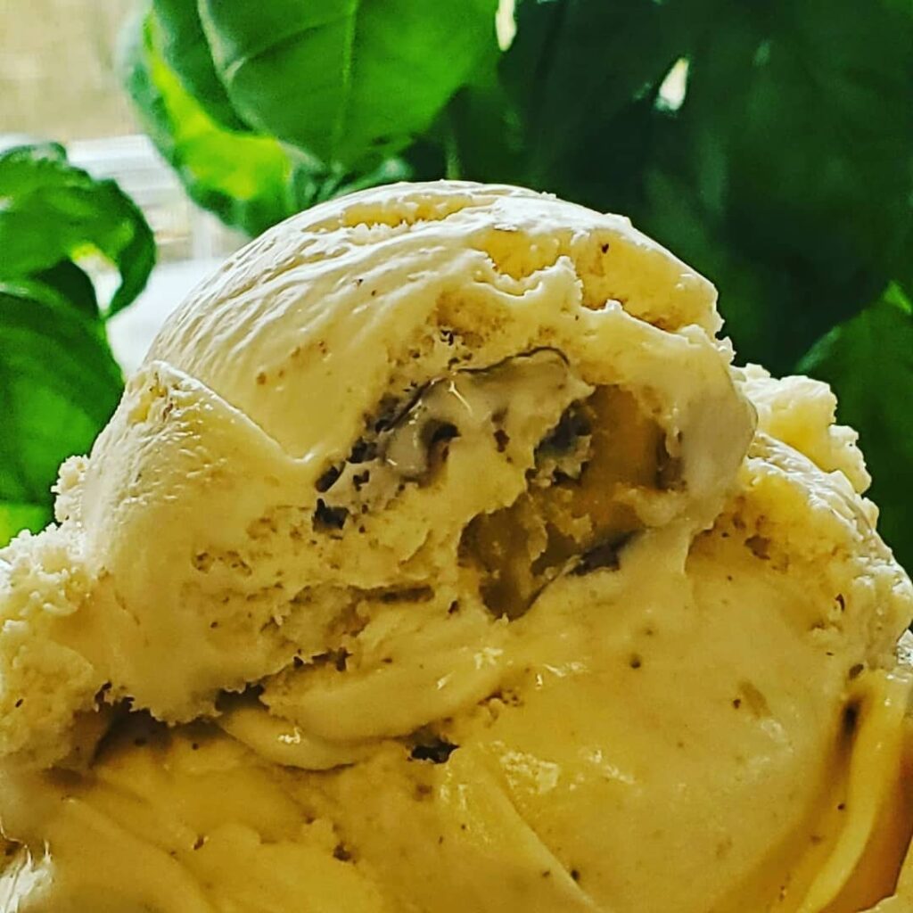 Maple Walnut Vanilla Ice Cream Homemade Flavors