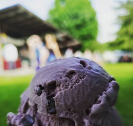 Purple Cow Fruit Ice Cream Homemade Flavors Cayuga Lake Creamery