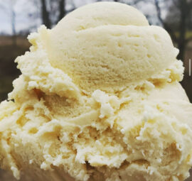 Vanilla Ice Cream Homeade Flavors Sampling Cayuga Lake Creamery